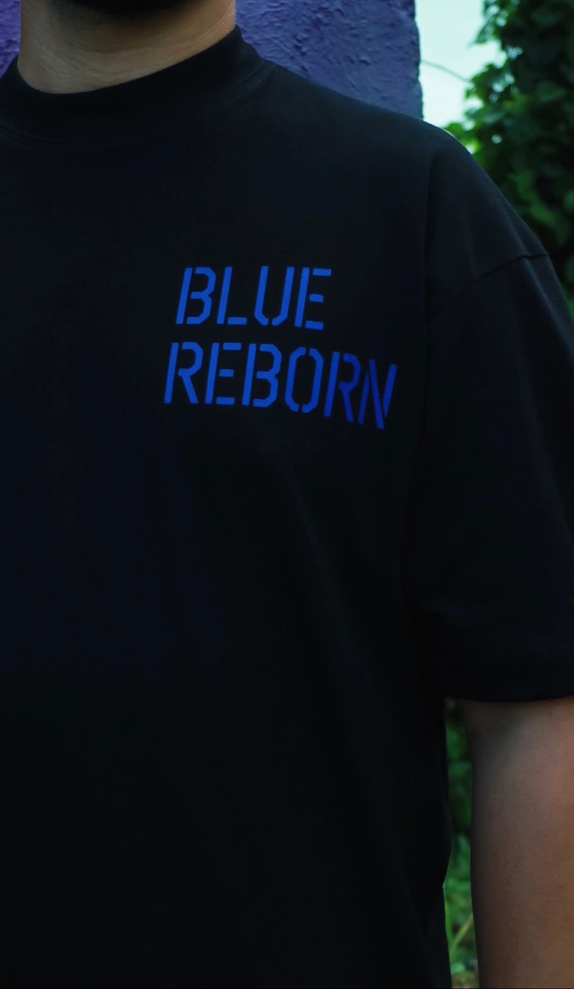 PHOENIX EVOLUTION REBORN